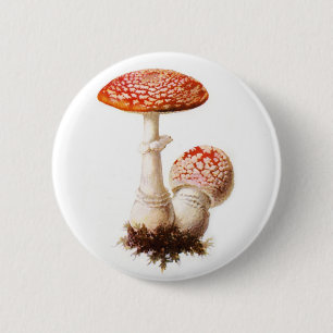 Amanita Mushroom Button