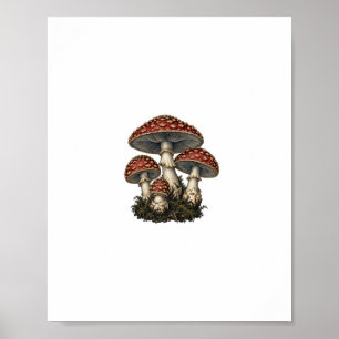 Amanita Mushroom Engraving Poster