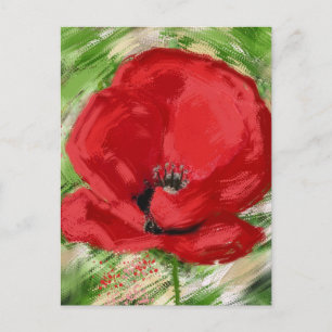 amapola postcard