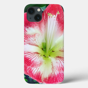 Amarilis  pink white colour gentle flower iPhone 13 case