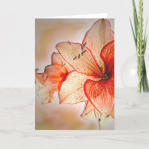Amaryllis Adoration Card