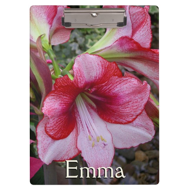 Amaryllis and Poinsettia Red Holiday Flowers Clipboard (Front)