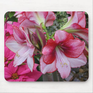 Amaryllis and Poinsettia Red Holiday Flowers Mouse Mat