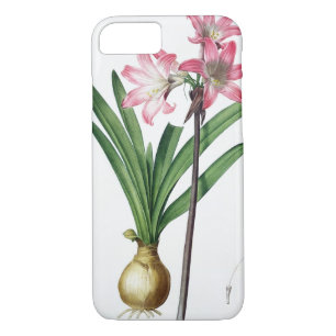 Amaryllis Belladonna, from 'Les Liliacees', engrav iPhone 8/7 Case