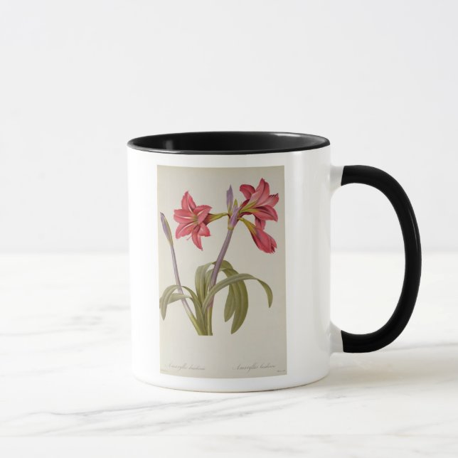 Amaryllis Brasiliensis Mug (Right)