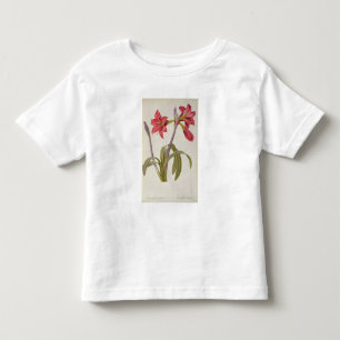 Amaryllis Brasiliensis Toddler T-Shirt