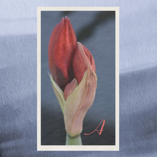 Amaryllis Bud Elegant Floral Slate Blue Napkin (Creator Uploaded)