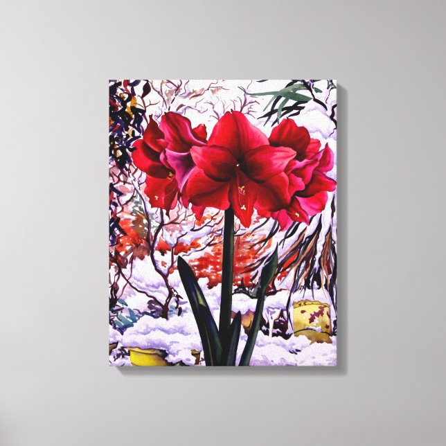 Amaryllis by Snow Window Canvas Print (Front)