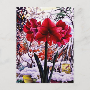 Amaryllis by Snow Window Postcard