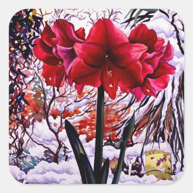 Amaryllis by Snow Window Square Sticker (Front)