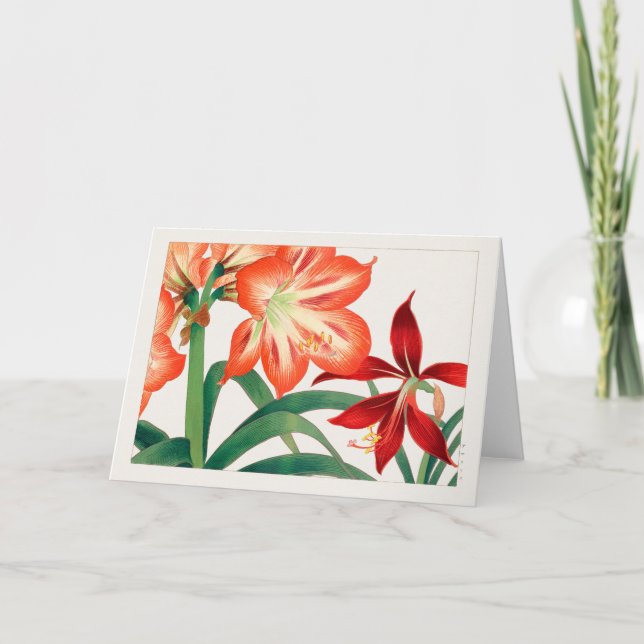 Amaryllis by Tanigami Konan Card (Front)