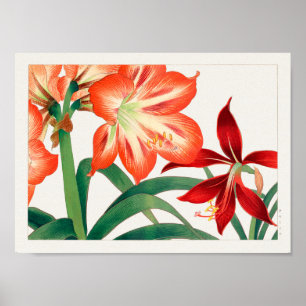 Amaryllis by Tanigami Konan Poster