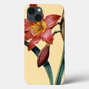 Amaryllis iPhone 13 Case