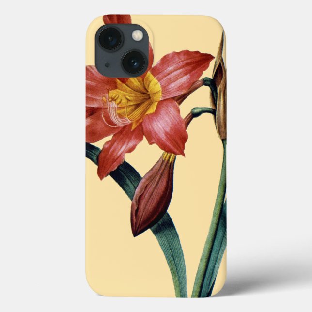 Amaryllis Case-Mate iPhone Case (Back)