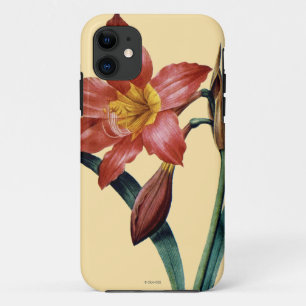 Amaryllis iPhone 11 Case