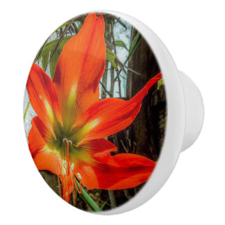 Amaryllis Closeup Ceramic Pull