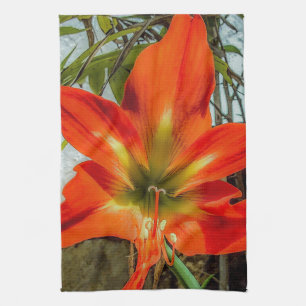 Amaryllis Closeup Kitchen Towels