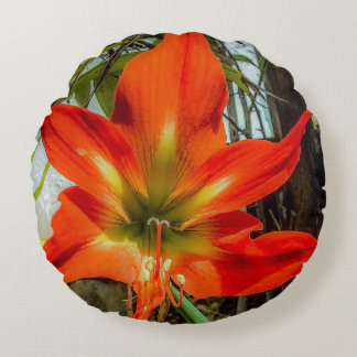 Amaryllis Closeup Round Pillow 