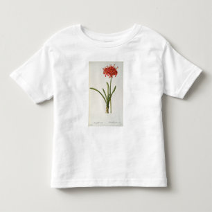 Amaryllis Curvifolia, 1809, from `Les Toddler T-Shirt