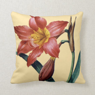 Amaryllis Cushion