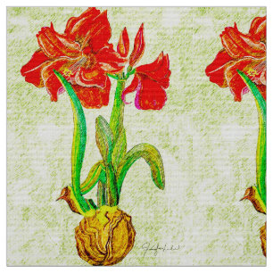 Amaryllis Fabric 3
