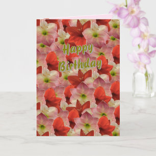 Amaryllis Floral Birthday Card 