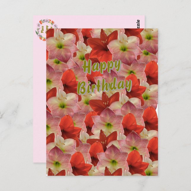 Amaryllis Floral Birthday Postcard (Front/Back)