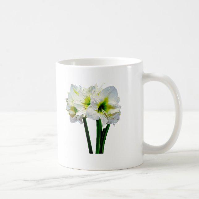 Amaryllis Green Princess Coffee Mug (Right)