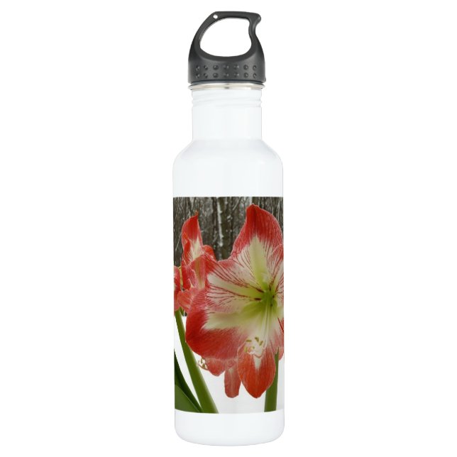 Amaryllis in Snow Red Holiday Winter Floral 710 Ml Water Bottle (Front)
