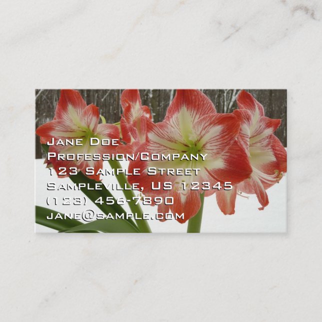 Amaryllis in Snow Red Holiday Winter Floral Business Card (Front)
