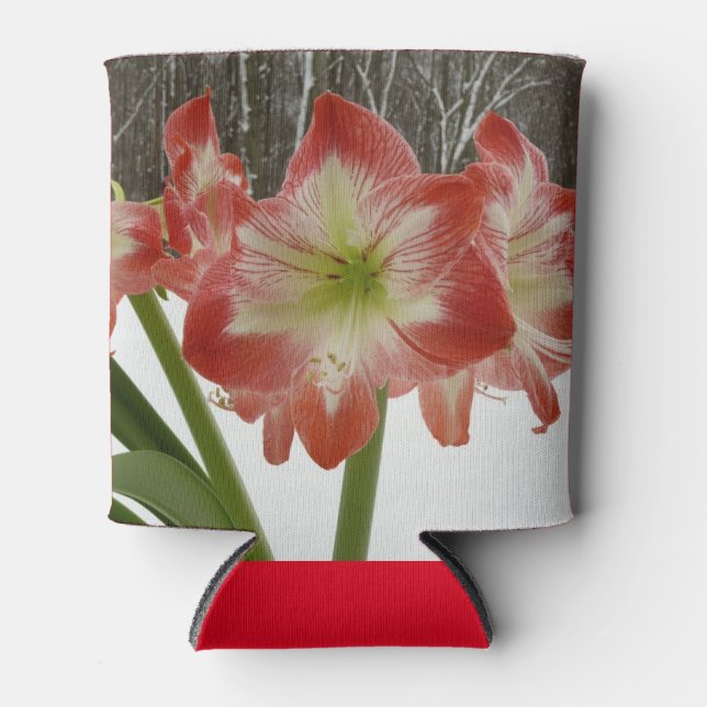 Amaryllis in Snow Red Holiday Winter Floral Can Cooler (Front)