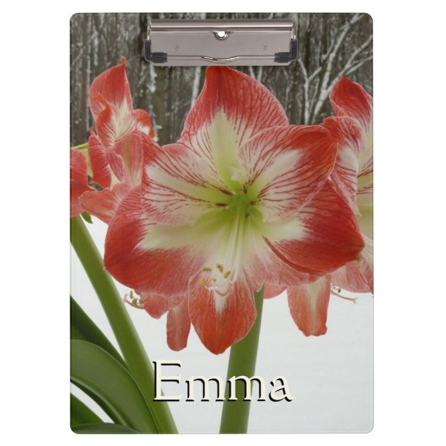 Amaryllis in Snow Red Holiday Winter Floral Clipboard (Front)
