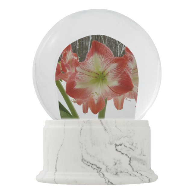 Amaryllis in Snow Red Holiday Winter Floral Globe (Front)