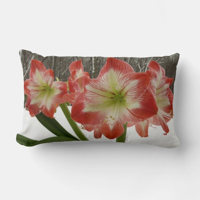 Amaryllis in Snow Red Holiday Winter Floral Lumbar Cushion (Front)