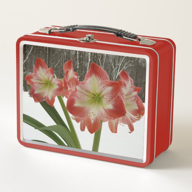 Amaryllis in Snow Red Holiday Winter Floral Metal Lunch Box (Front)