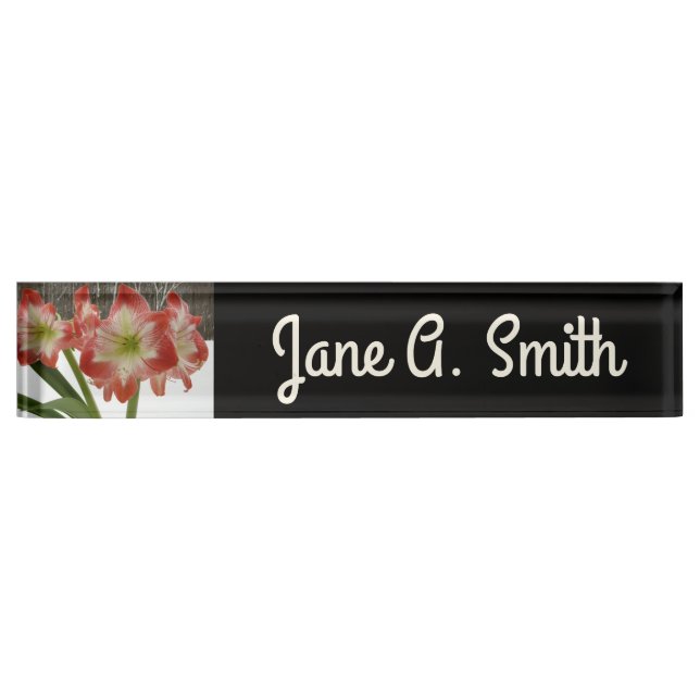 Amaryllis in Snow Red Holiday Winter Floral Nameplate (Front)