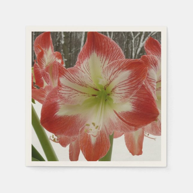 Amaryllis in Snow Red Holiday Winter Floral Napkin (Front)
