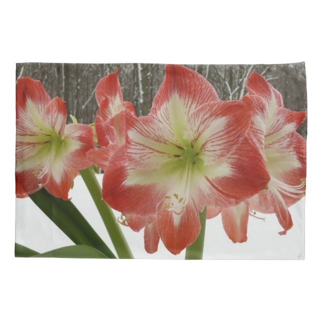Amaryllis in Snow Red Holiday Winter Floral Pillowcase (Back)