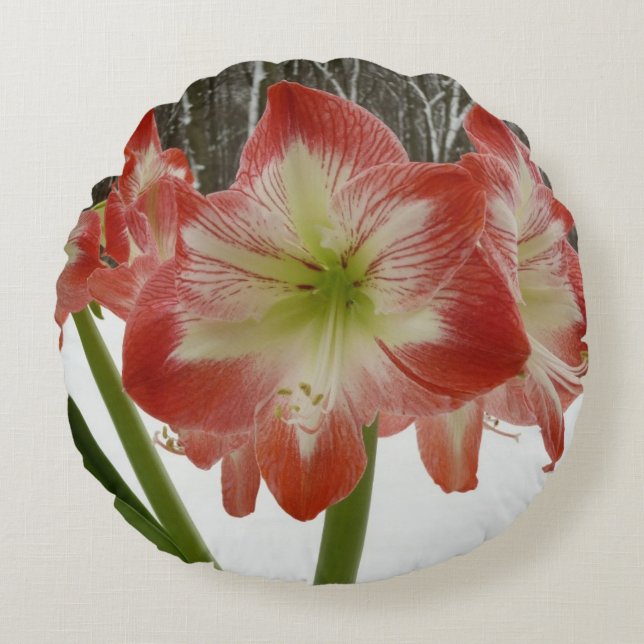Amaryllis in Snow Red Holiday Winter Floral Round Cushion (Front)