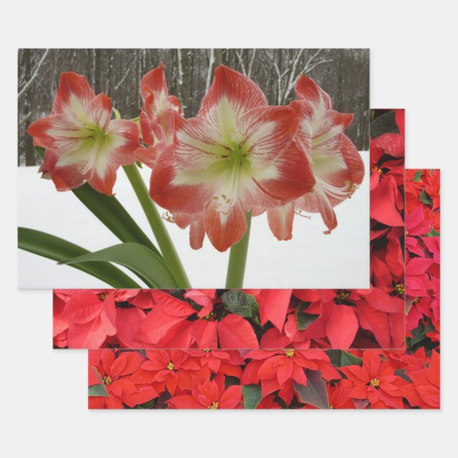 Amaryllis in Snow Red Holiday Winter Floral Wrapping Paper Sheet (Set)