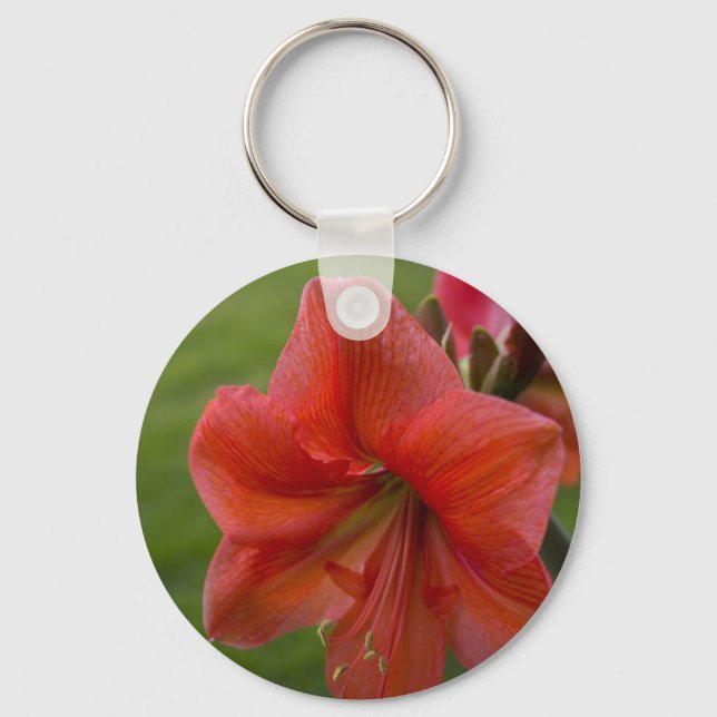 Amaryllis Key Ring (Front)