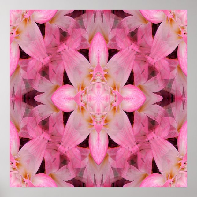 Amaryllis Love... Poster (Front)