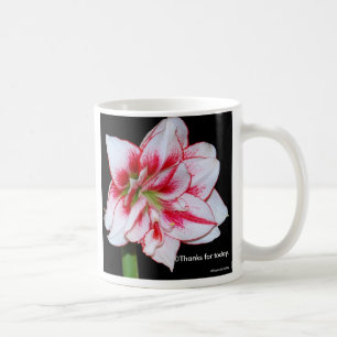 Amaryllis mug
