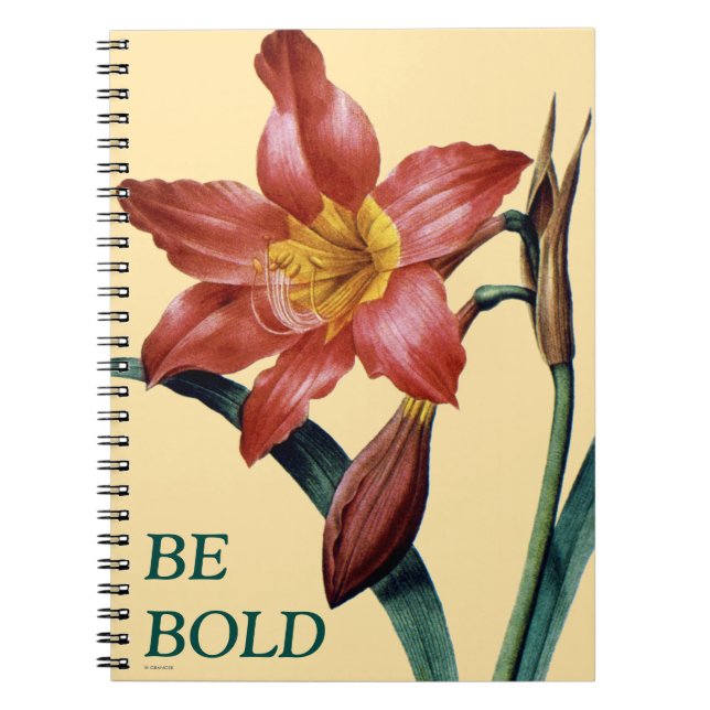 Amaryllis Notebook (Front)