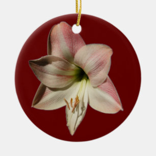 Amaryllis ~ ornament