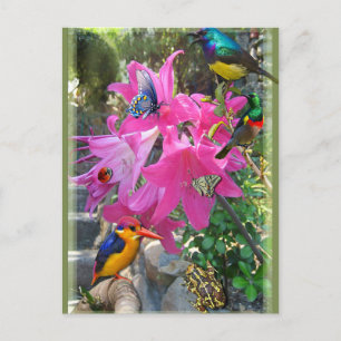 Amaryllis Party Invitation Postcard