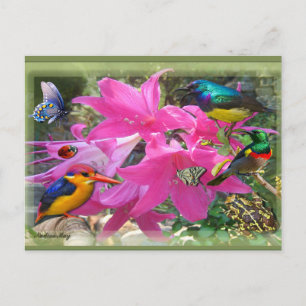 Amaryllis Party Invitation Postcard