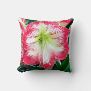 Amaryllis pink white colour gentle flower branch  cushion