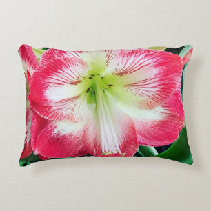 Amaryllis pink white colour gentle flower branch  decorative cushion