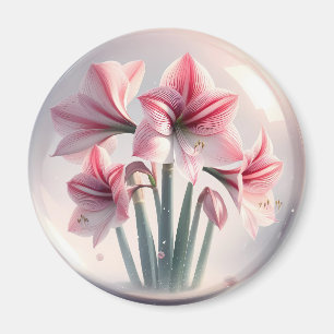 Amaryllis Pink White flowers Magnet
